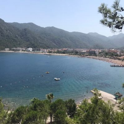 MWMBMCM's profile picture. 