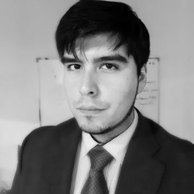 Ingeniero en Control de Gestión
UST Santiago