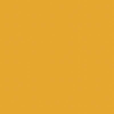 camrensecretLC's profile picture. 