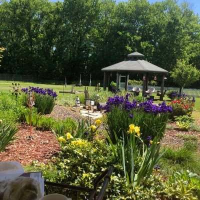 Deb_Norm's profile picture. #KAG2020, Christian, NRA member, 100% Trump supporter from day one. No DMs