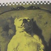 Manèl Zabala (@manelzabala) 's Twitter Profile