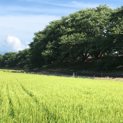 新潟県新発田市出身 上杉家縁の武士の家系の人間です。青山繁晴氏、馬渕睦夫氏、是々非々で支持。無言フォローお許しください。日本🇯🇵、地元新潟を愛してます。日本酒最高〜🍶😍