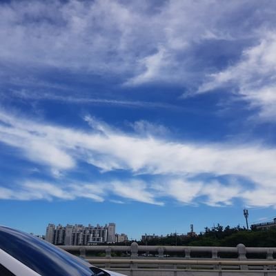 tuyyy03795806's profile picture. 