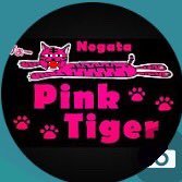Pink Tiger (@pinktiger0605) 's Twitter Profile Photo Pink Tiger (@pinktiger0605) 's Twitter Profile Photo