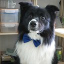 Bob Li - @bobli0604 - Twitter