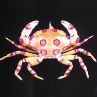 Maria Ptqk (@ptqk) 's Twitter Profile Photo Maria Ptqk (@ptqk) 's Twitter Profile Photo