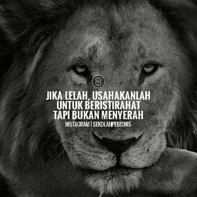 LilaNcid's profile picture. 