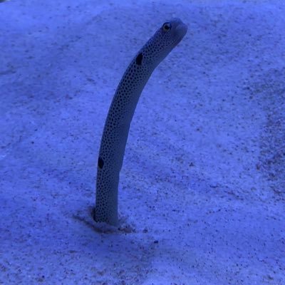 のろさんのプロフィール画像