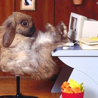 gkmeow's profile picture. 