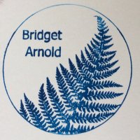 Bridget Arnold(@ArnoldBridget) 's Twitter Profile Photo