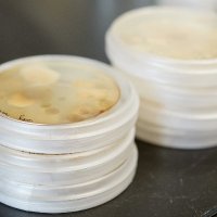 MicrobiomeCenters (@allmicrobiomes) 's Twitter Profile