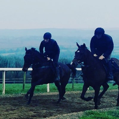 Racehorse trainer of a small selling operation- Point to point&track horses. Keen on all sports & anything aviation.