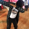 yatishw's profile picture. Media Proffesional.