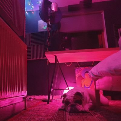 LordWilberforc1's profile picture. - Producer/Writer.
- Law Graduate.