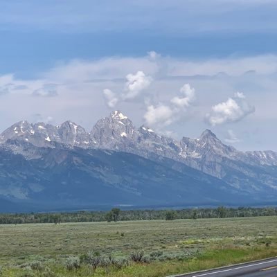 gnewok's profile picture. 