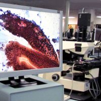 CDx Diagnostics® (@cdxdiagnostics) 's Twitter Profile