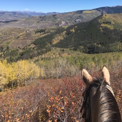 Offering a wide variety of horseback riding adventures for the entire family, as well as horse drawn sleigh rides and dinner, weddings and group events.