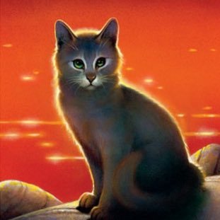 ripplyboy's profile picture. 