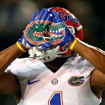 BradleyUF's profile picture. UF Gator born in Michigan and living in South Florida.  Lifelong Detroit Tigers fan!