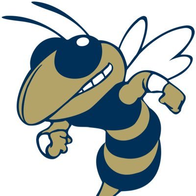 Haynes Academy Profile