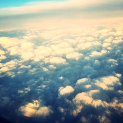 Rsn_Ada's profile picture. I love animals and metal music.