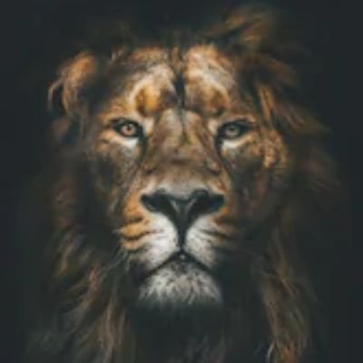 AlphArslaan's profile picture. 