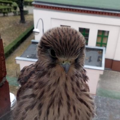 ukasz29547441's profile picture. .