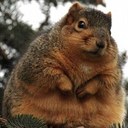 Jack Beddow - @JACKBEDDOW - Twitter