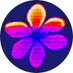 NanoApp (@nanoappconf) Twitter profile photo NanoApp (@nanoappconf) Twitter profile photo