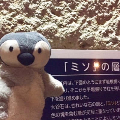 天文関係のひと。看護師もしていましたとさ。科学全般好き。ペンギン🐧/有尾目/ラジオ/多ジャンルの読書/デザイン/鉄道などが好き。