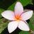 bz5633's profile image
