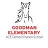 GoodmanES_AISD's profile picture. Goodman ACE is committed to providing a dynamic and unparalleled education that guarantees choices and opportunities today and in the future!🐎  #AldineAnywhere