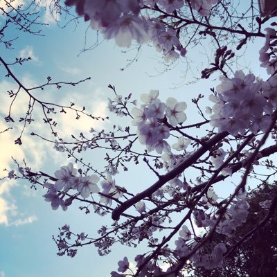 kanazawa_tomoe's profile picture. 出版社で書籍の編集をしています