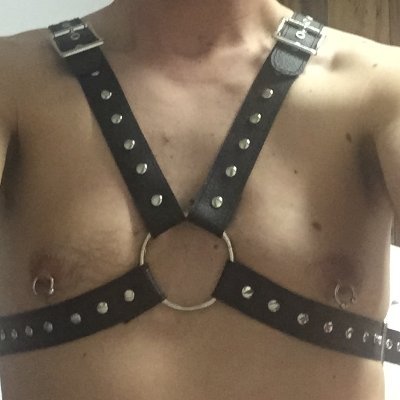 MattieBromide's profile picture. A nasty top that only practices in BB.  Very horny here all the time.  Enjoys people, especially those that are very dirty.