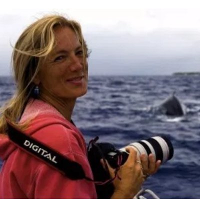 New here....

Marine biologist and whale researcher. Directing the Center for Cetacean Research and Conservation on Rarotonga, Cook Islands. https://t.co/nfclRpLecr