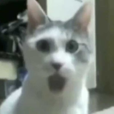 sekst373's profile picture. #подписка #взаимно