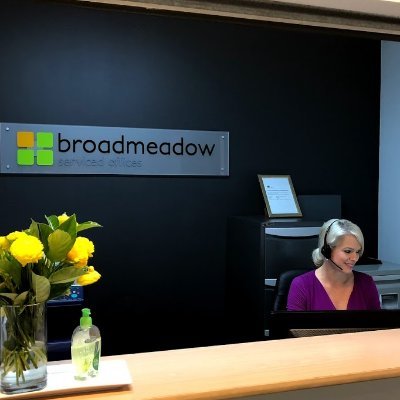 Serviced Offices and Virtual Receptionist - assisting other business owners.