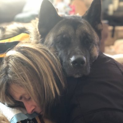 tamosimo's profile picture. 