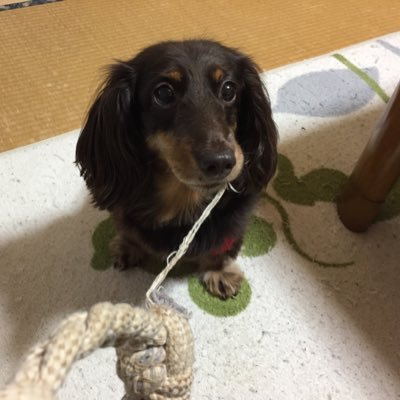 marokun1108's profile picture. 15年振りに再開したゴルフにハマっています。無言フォローすみません！