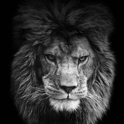 Daprophet12's profile picture. God is not going to lower His standards for those who are not ready to raise theirs