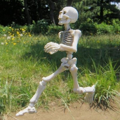 hasiruomusibi's profile picture. 『BORN TO RUN』に影響を受けて走り始めて11年目。主にワラーチで走っています。「楽に軽くスムーズに」を目標に「楽に」と「軽く」を行ったり来たり。裸足ランに興味あり。神足歩行術（1日に数百キロも走れるという）も体得したいと夢想。最近サボってるけど走った先でポーズスケルトンで骨活も。非ビーガンのベジタリアンです。