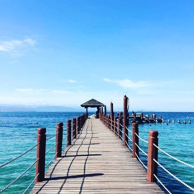 aquatulip30's profile picture. 