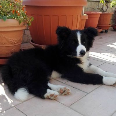 Massimo5858's profile picture. 