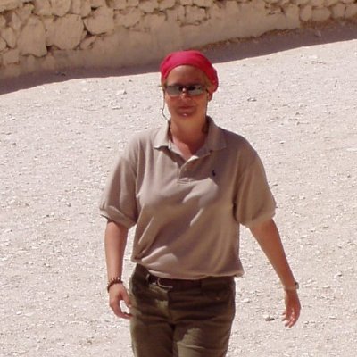 Egyptologist | Director of Leiden University Mission to the Theban Necropolis | Also @LuxorHeritage | #TT45Project #heritage #archaeology #Luxor #Egyptology