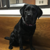 Jennifer Massey (@ms_massey_math) Twitter profile photo Jennifer Massey (@ms_massey_math) Twitter profile photo