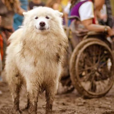 lcescarpas's profile picture. 