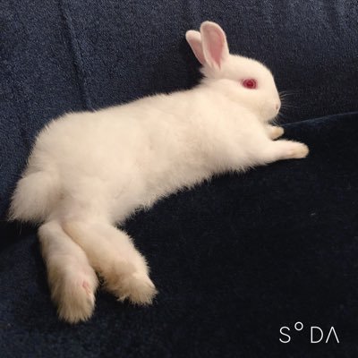 23minnadeganba's profile picture. 2023年Ｇです。 プレップ350で英語頑張ってます！2027年もいます！中学受験予定です。