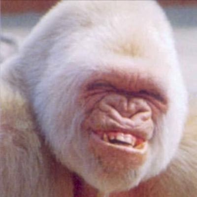 rh_davies's profile picture. 