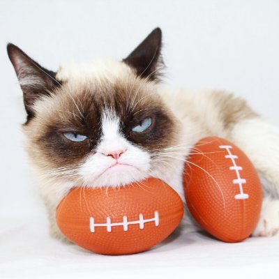 Longtime Redskin/Washington NFL fan-there's hope now with new ownership, NBA Spurs fan, Feline Fancier, Christian