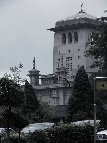 niolav's profile picture. 